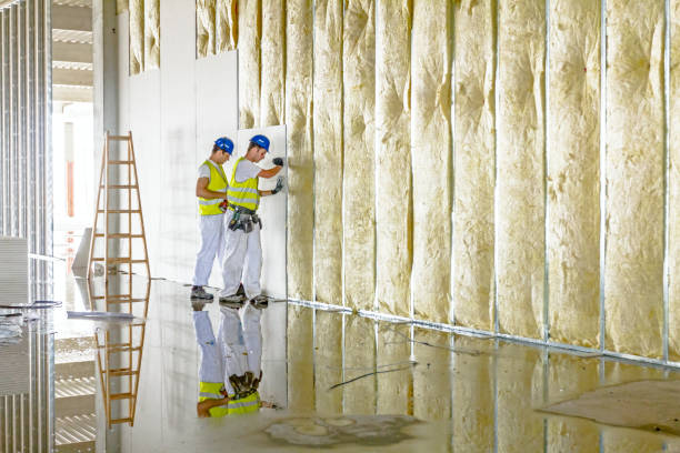 Best Attic Insulation Installation  in Keshena, WI